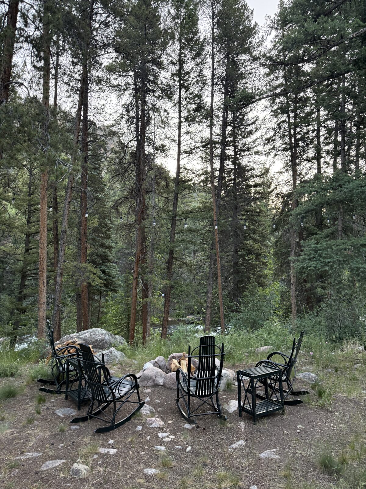 A circle of rocking chairs around a fire pit, set in a pine forest.